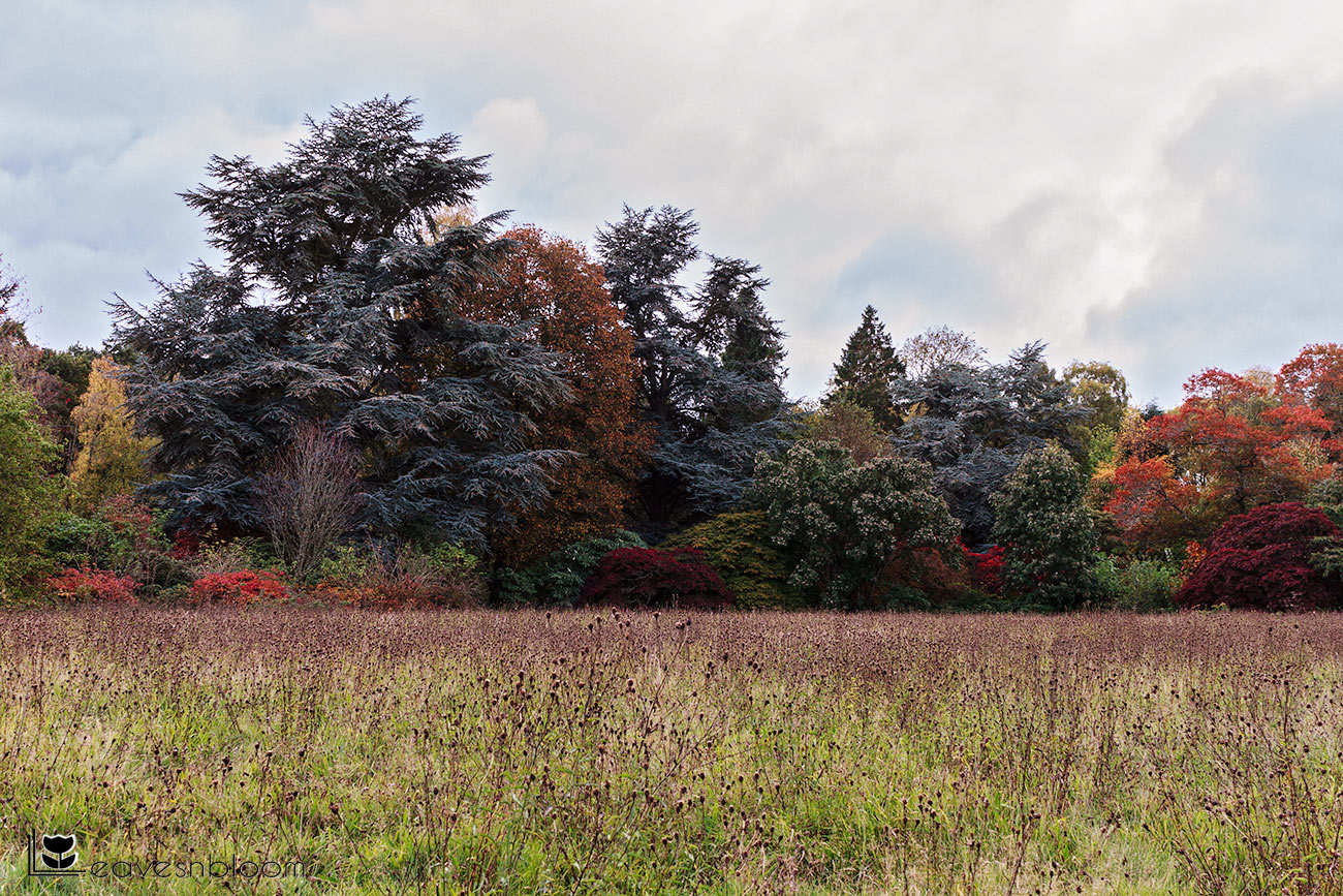 Scottish National Heritage Battleby grounds in autumn